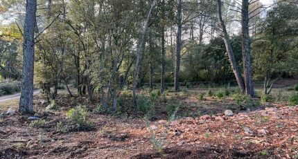 Trans-en-Provence Terrain à bâtir - 1630243-4529annonce320230613OBc84.jpeg Maisons Open