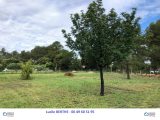  1632316-9269annonce120230616xaRXH.jpeg Maisons Open