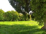  1557865-5407annonce120230303Toc37.jpeg Maisons Open