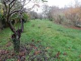  1557910-5407annonce1202303036rQvo.jpeg Maisons Open