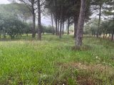  1634124-3951annonce120230619HUTIN.jpeg Maisons Open