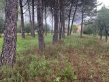  1634124-3951annonce220230619vXylB.jpeg Maisons Open