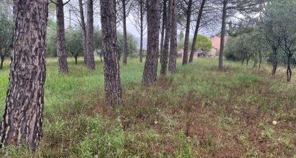 Figanières Terrain à bâtir - 1634124-3951annonce220230619vXylB.jpeg Maisons Open