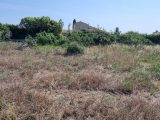  1637443-6929annonce3202306231PtIT.jpeg Maisons Open