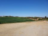  1636613-5993annonce2202306220nkX2.jpeg Maisons Open