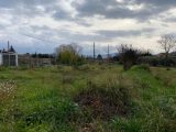  1637303-10122annonce220230623vTP50.jpeg Maisons Open