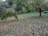  1637594-10122annonce320230623TW0oG.jpeg Maisons Open