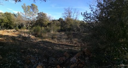 Méounes-lès-Montrieux Terrain à bâtir - 1637669-10122annonce220230623vxIWz.jpeg Maisons Open