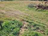  1556646-4671annonce120230302FpADW.jpeg Maisons Open