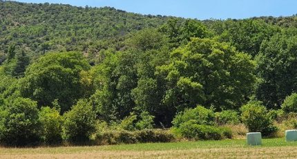 Prades Terrain à bâtir - 1609326-4671annonce120230516zGA8A.jpeg Maisons Open