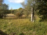  1640961-1836annonce320230628FbxSe.jpeg Maisons Open