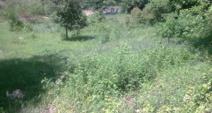 Saint-Paul-en-Forêt Terrain à bâtir - 1640961-1836annonce42023062824pZp.jpeg Maisons Open