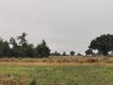  1637665-7154annonce120230623utH2k.jpeg Maisons Open