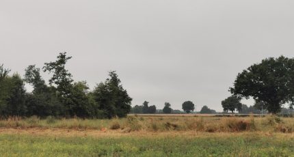 Yzernay Terrain à bâtir - 1637665-7154annonce120230623utH2k.jpeg Maisons Open