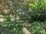  1638801-7154annonce220230626WQ2Oi.jpeg Maisons Open