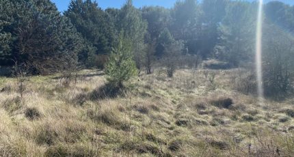 Ventabren Terrain à bâtir - 1641149-7060annonce120230628K5XGJ.jpeg Maisons Open