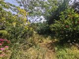  1638826-7154annonce2202306265dwyx.jpeg Maisons Open