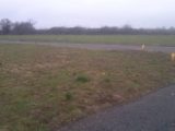  1642108-3421annonce120230629dTNlm.jpeg Maisons Open