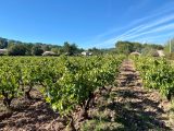  1641554-3912annonce2202306298plbl.jpeg Maisons Open