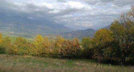 Avançon Terrain à bâtir - 1641754-7156annonce220230629iG7DP.jpeg Maisons Open