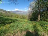  1641754-7156annonce320230629bF6st.jpeg Maisons Open