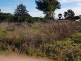  1642842-1836annonce420230630mFxQL.jpeg Maisons Open