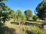  1642609-7048annonce120230630dnexp.jpeg Maisons Open