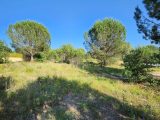  1642609-7048annonce320230630hg527.jpeg Maisons Open