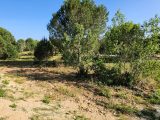  1642609-7048annonce4202306300mHWL.jpeg Maisons Open