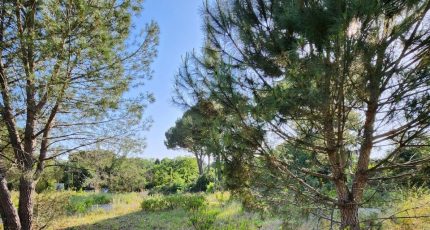 Grimaud Terrain à bâtir - 1642609-7048annonce520230630uFGRl.jpeg Maisons Open