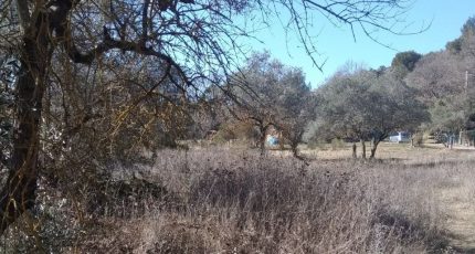 La Bastide-des-Jourdans Terrain à bâtir - 1642995-9917annonce220230630zA3Zb.jpeg Maisons Open