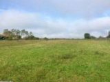  1567245-10046annonce1202303173LUmD.jpeg Maisons Open
