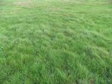  1592731-1635annonce120230419IgtuC.jpeg Maisons Open