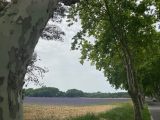  1643797-7060annonce220230703g1Agi.jpeg Maisons Open