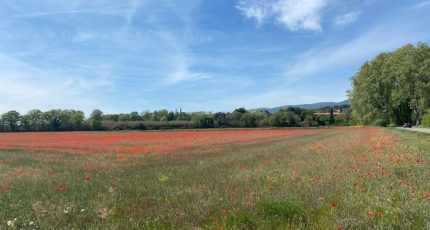 Aubagne Terrain à bâtir - 1643797-7060annonce12023070381eFf.jpeg Maisons Open