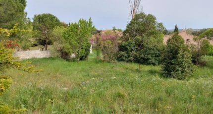 Vernègues Terrain à bâtir - 1644673-4667annonce120230704TJr6N.jpeg Maisons Open