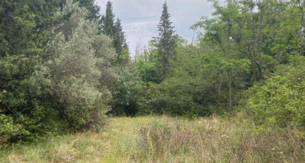 Bourg-Saint-Andéol Terrain à bâtir - 1644778-6150annonce420230605eAUBt.jpeg Maisons Open