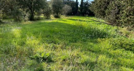 Grillon Terrain à bâtir - 1644805-6150annonce420230109Q8TCz.jpeg Maisons Open