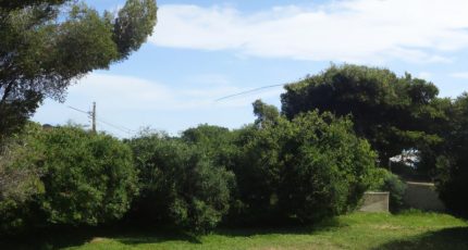 Villeneuve-Loubet Terrain à bâtir - 1645939-9270annonce120230706y6XeN.jpeg Maisons Open
