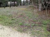  1645965-7066annonce220230706FCdeW.jpeg Maisons Open