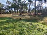  1643564-9707annonce220230703omy8h.jpeg Maisons Open