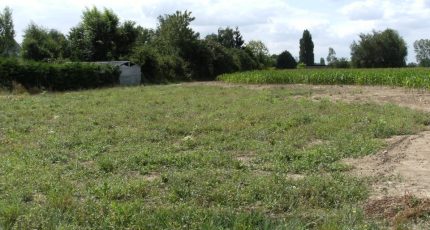 Saint-Macaire-en-Mauges Terrain à bâtir - 1647999-961annonce120230710sVDJ8.jpeg Maisons Open