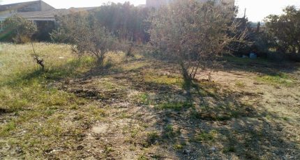 Cuges-les-Pins Terrain à bâtir - 1649150-7068annonce120230711TaXqO.jpeg Maisons Open