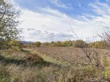  1649019-2970annonce220230310clX3p.jpeg Maisons Open
