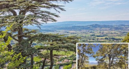 Bonnieux Terrain à bâtir - 1649022-2970annonce320230310qWSJo.jpeg Maisons Open
