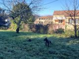  1643658-9707annonce420230703lmma4.jpeg Maisons Open