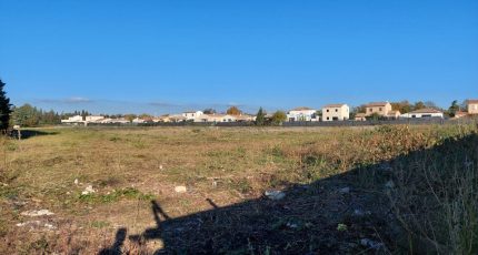 Saint-Martin-de-Crau Terrain à bâtir - 1649642-4667annonce12023071218Ard.jpeg Maisons Open