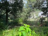  1650372-7058annonce420230713PMtWp.jpeg Maisons Open