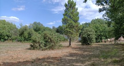 Saint-Maximin-la-Sainte-Baume Terrain à bâtir - 1650778-7058annonce220230713vrgsf.jpeg Maisons Open