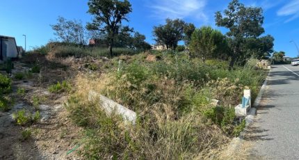 Sainte-Maxime Terrain à bâtir - 1644499-3951annonce220230704OTKS0.jpeg Maisons Open